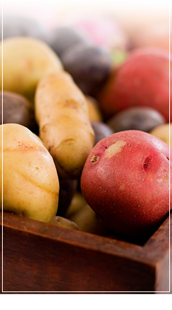 Close-up of Potatoes